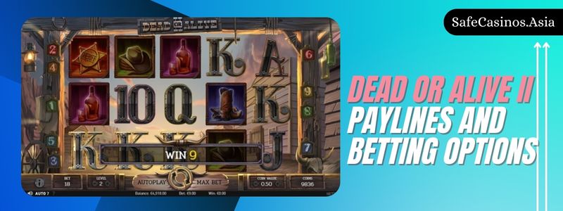 Dead or Alive II Slot Paylines and Betting Options