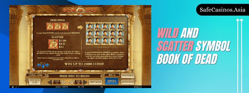Wild-and-Scatter-Book-of-Dead-Slot